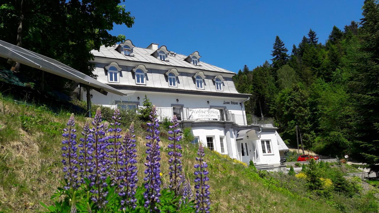 Lesna Polana- Blisko Centrum, Mini Spa, Cicha, Spokojna Okolica, Parking Gratis Krynica-Zdrój Exterior foto